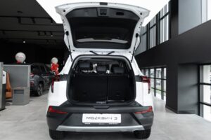 bdb10690c9e70a7649f2818f8b9e775d